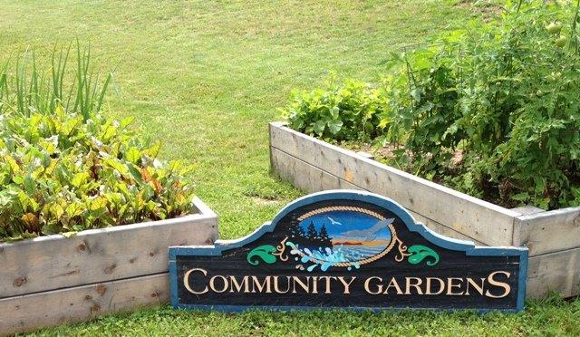 Community Garden